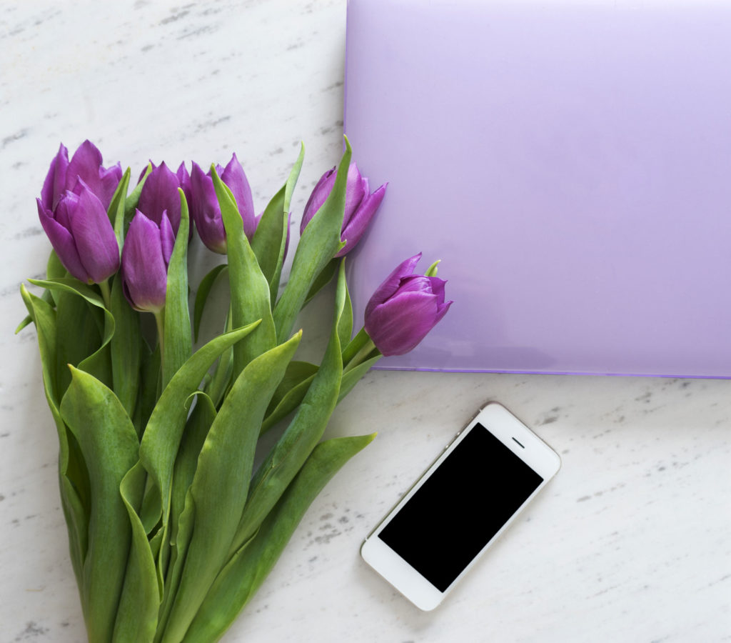 10k Blog Traffic Challenge - Sweet Purple Tulips - 1024 x 900 jpeg 114kB